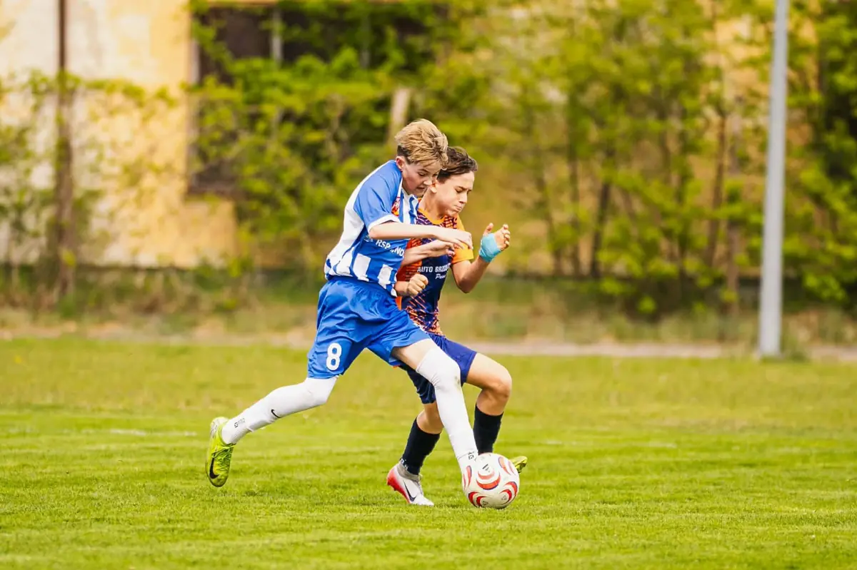 Akademia Goplanii